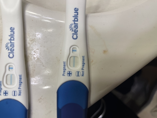 Home Pregnancy Test