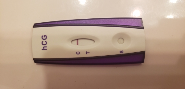 Home Pregnancy Test