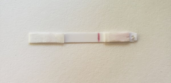 Home Pregnancy Test