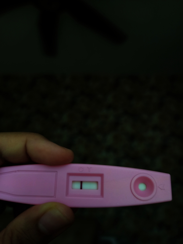 Home Pregnancy Test