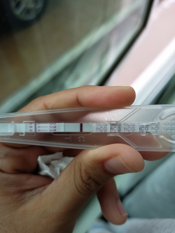 Home Pregnancy Test
