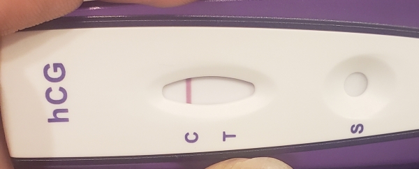 Home Pregnancy Test