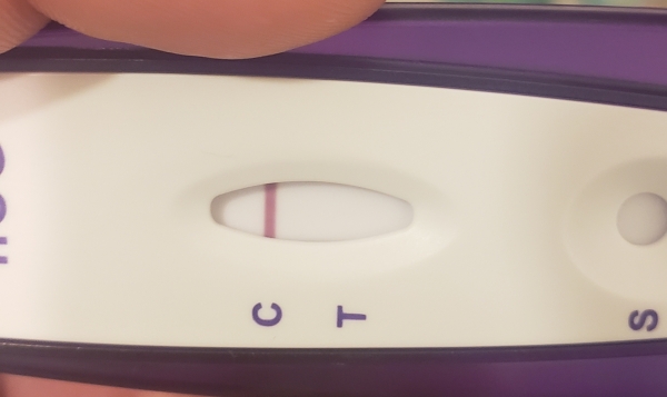 Home Pregnancy Test