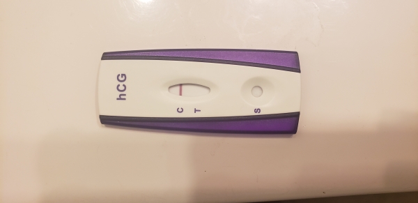 Home Pregnancy Test