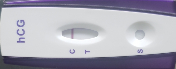 Home Pregnancy Test