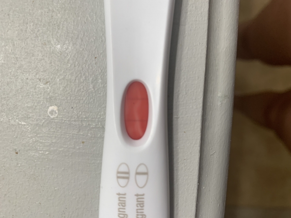 First Response Early Pregnancy Test, Cycle Day 39