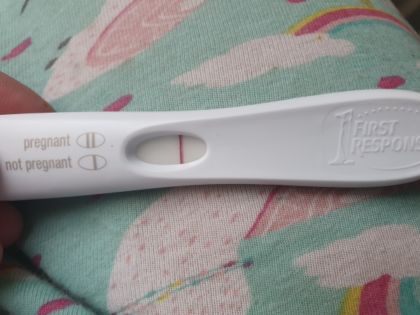Home Pregnancy Test