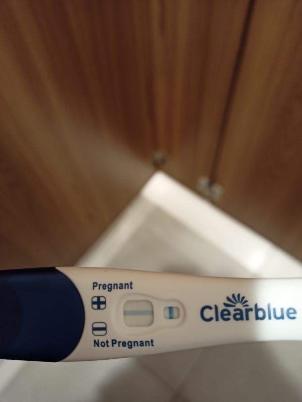 Home Pregnancy Test