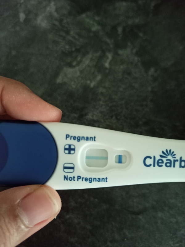 Home Pregnancy Test