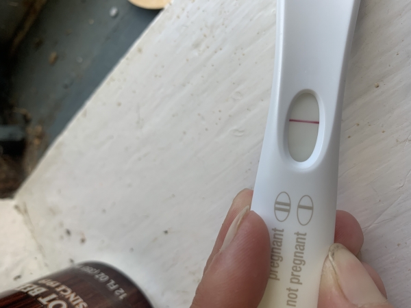 First Response Early Pregnancy Test, 12 Days Post Ovulation, Cycle Day 26