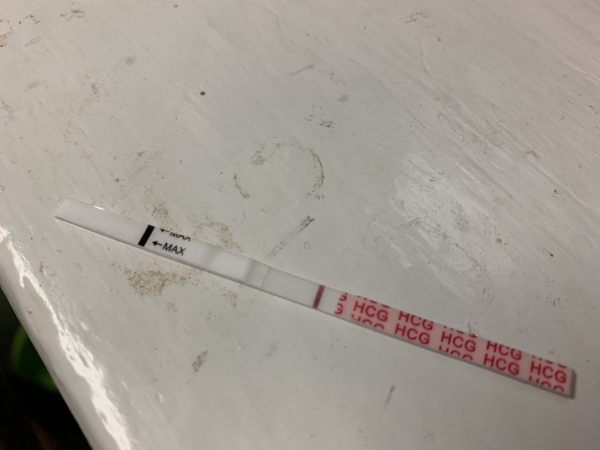 Wondfo Test Strips Pregnancy Test, 12 Days Post Ovulation, Cycle Day 26