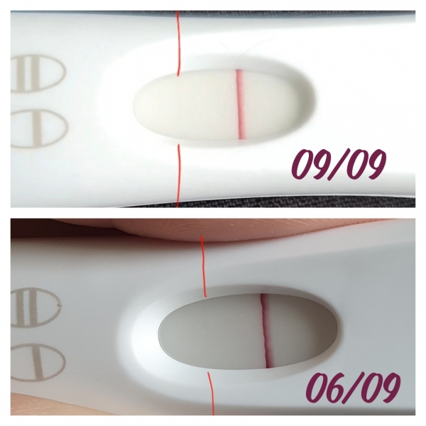 Home Pregnancy Test