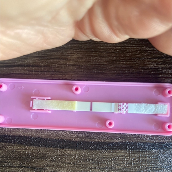 Home Pregnancy Test