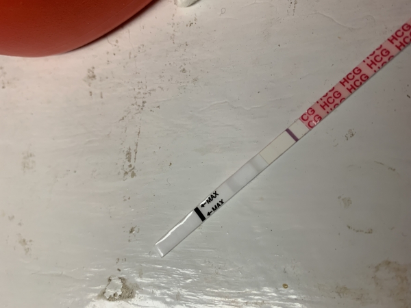 Wondfo Test Strips Pregnancy Test, 9 Days Post Ovulation, FMU, Cycle Day 21