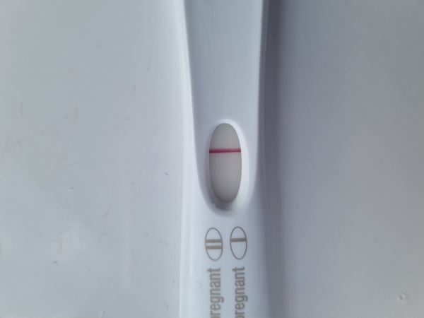 First Response Early Pregnancy Test, 8 Days Post Ovulation