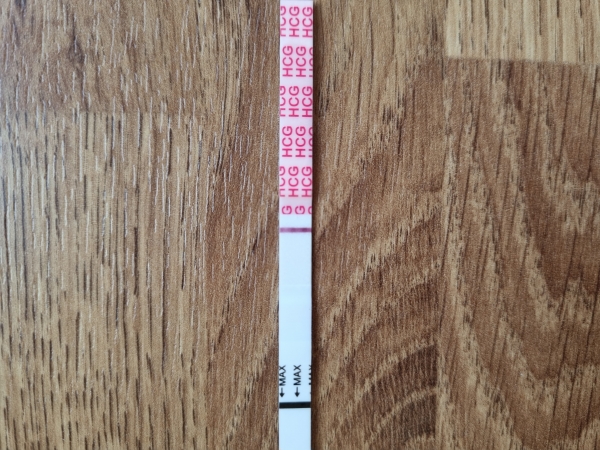 Home Pregnancy Test