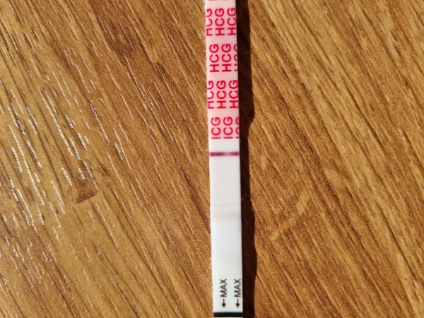 Home Pregnancy Test
