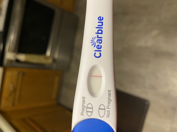 Home Pregnancy Test