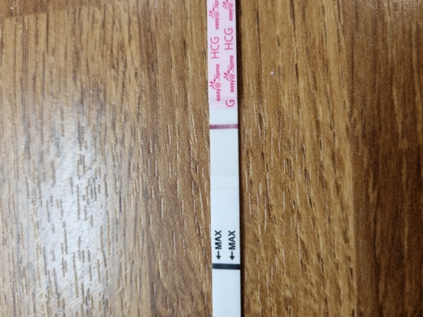 Home Pregnancy Test