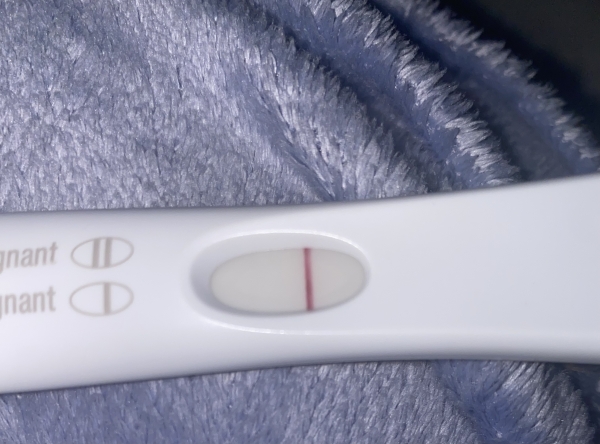First Response Early Pregnancy Test
