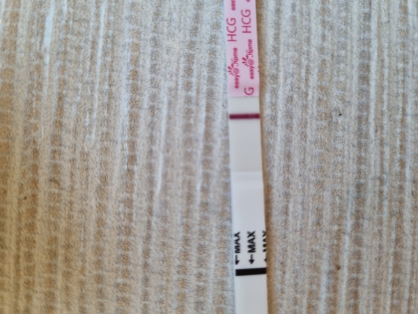 Home Pregnancy Test