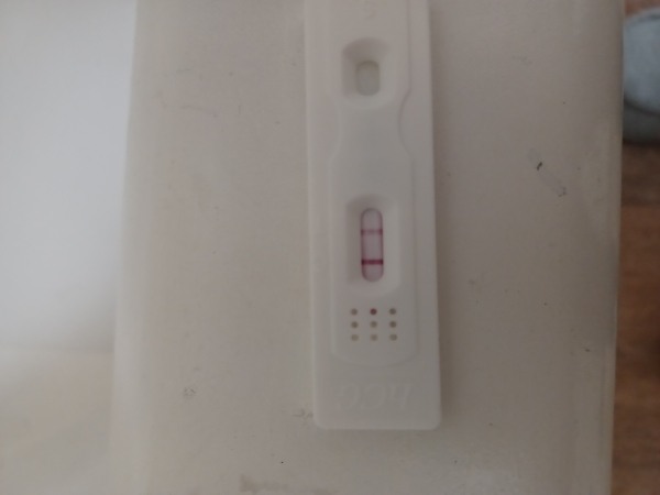 Generic Pregnancy Test, FMU