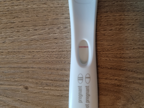 Home Pregnancy Test