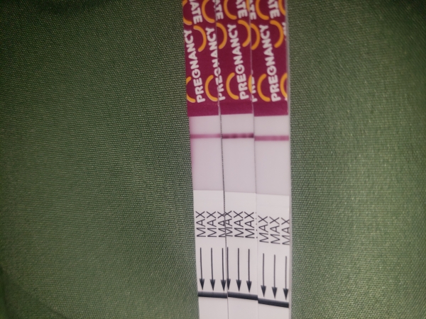 Pregmate Pregnancy Test, 10 Days Post Ovulation, Cycle Day 37