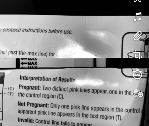Home Pregnancy Test