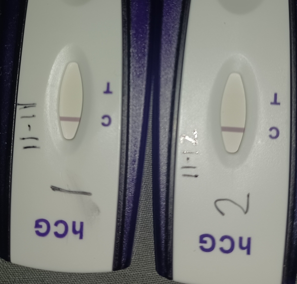Home Pregnancy Test