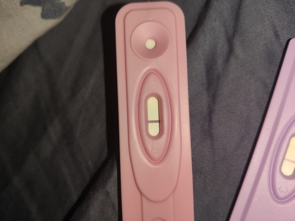 Home Pregnancy Test