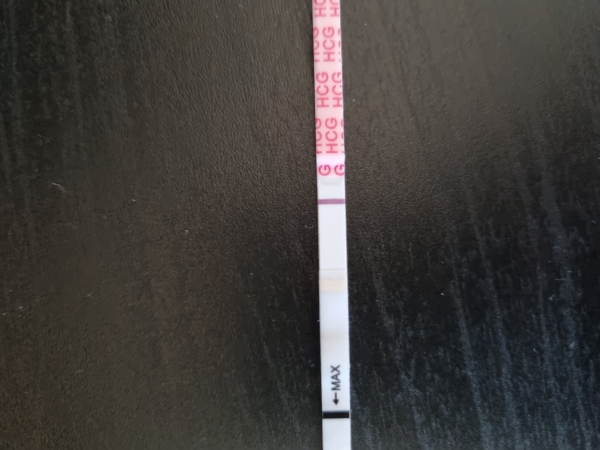 Home Pregnancy Test