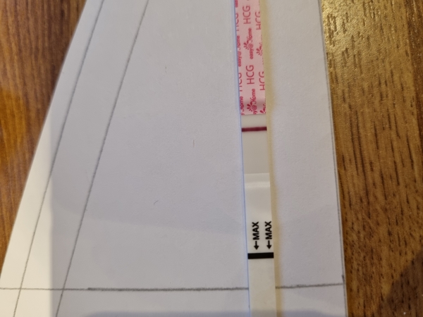 Home Pregnancy Test