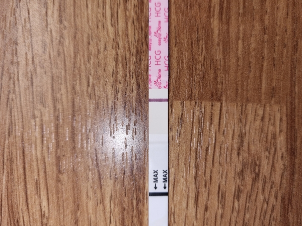 Home Pregnancy Test