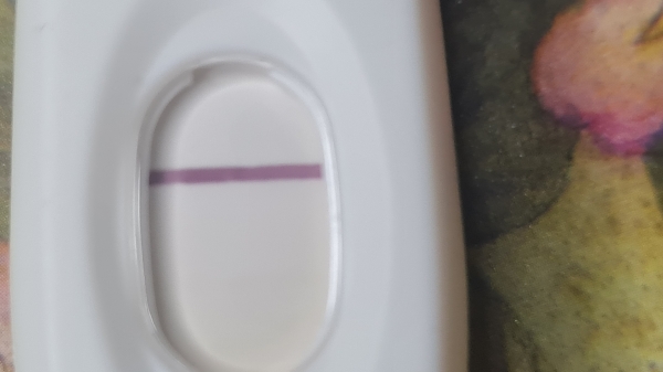 Home Pregnancy Test