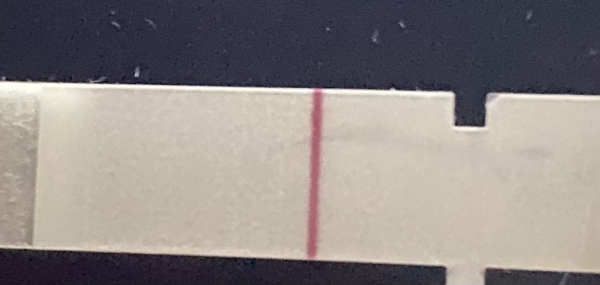 Home Pregnancy Test