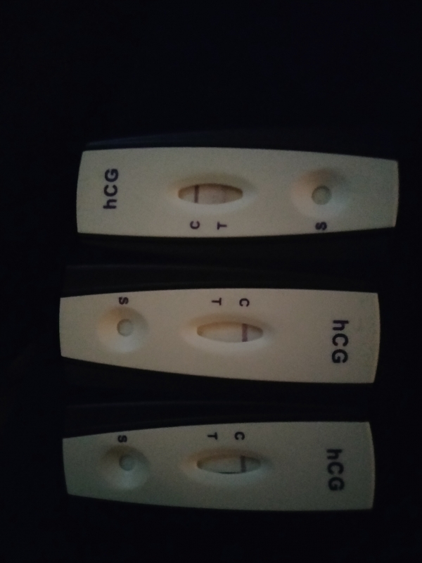 Home Pregnancy Test