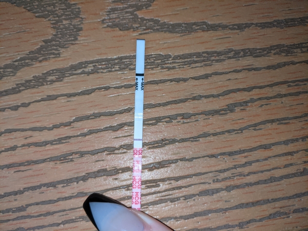 Wondfo Test Strips Pregnancy Test, 12 Days Post Ovulation, FMU, Cycle Day 24