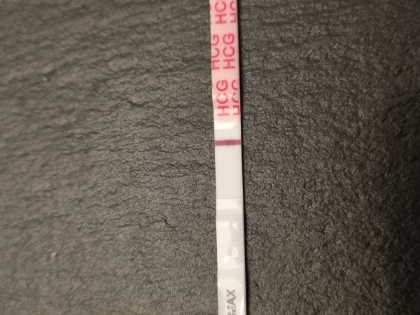 Home Pregnancy Test