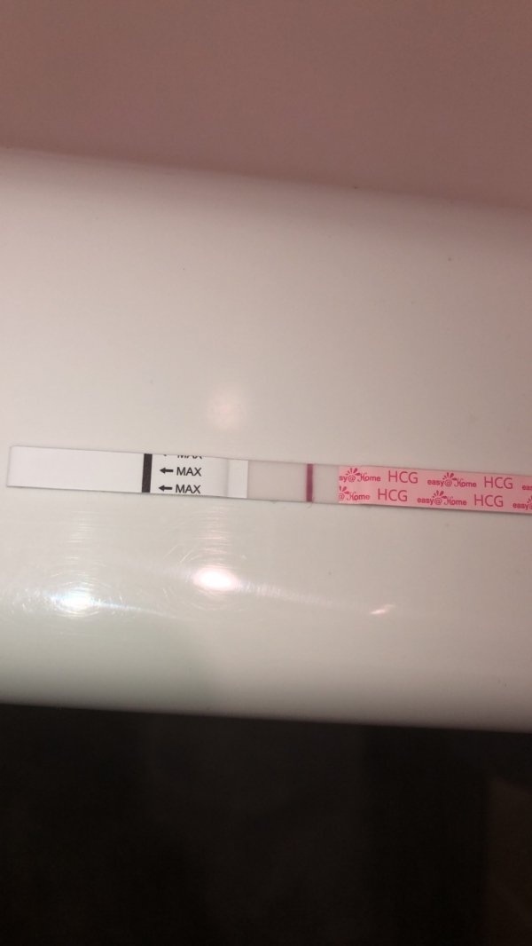 Home Pregnancy Test