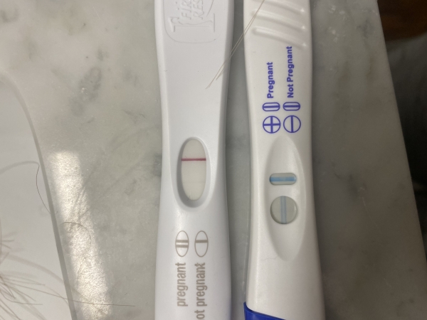 Home Pregnancy Test, 12 Days Post Ovulation
