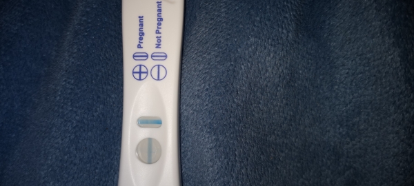 Home Pregnancy Test