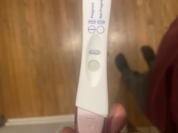 Home Pregnancy Test