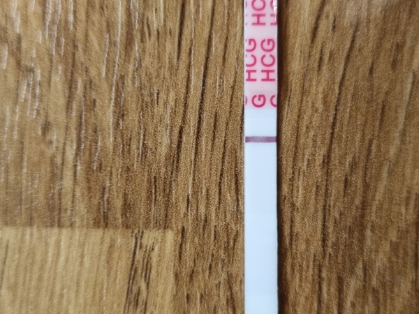 Home Pregnancy Test