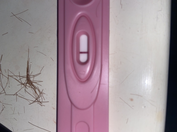 Home Pregnancy Test