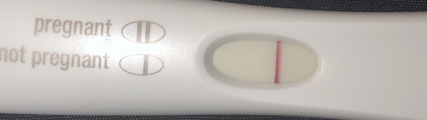 First Response Early Pregnancy Test, 14 Days Post Ovulation, Cycle Day 31