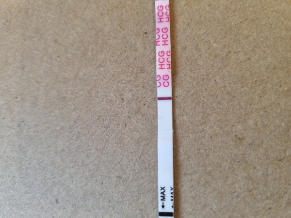 Home Pregnancy Test