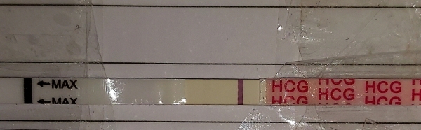 Wondfo Test Strips Pregnancy Test, 6 Days Post Ovulation