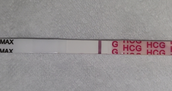 Home Pregnancy Test