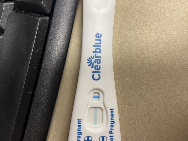 Home Pregnancy Test